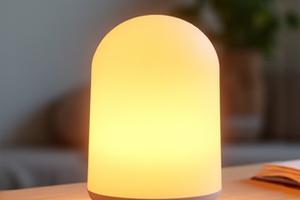 Therapeutic Light Therapy Lamp