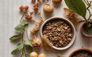 Various adaptogenic herbs and teas laid out on a wooden surface.